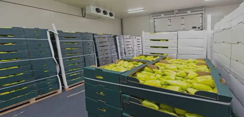 Vegetable Cold Storage Manufacturers in Umaria